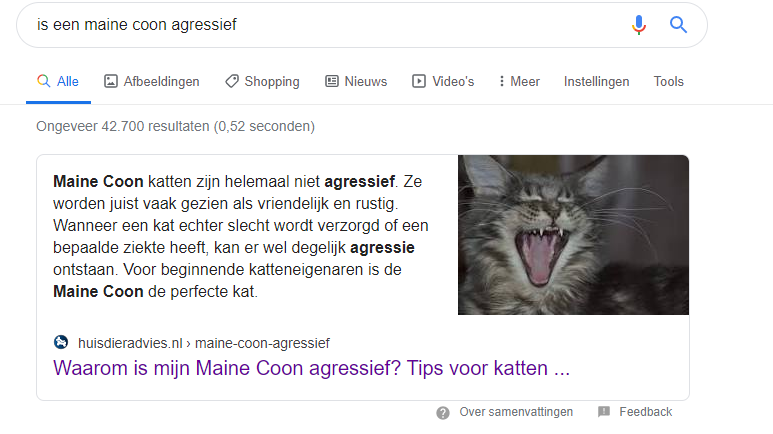 snippet google