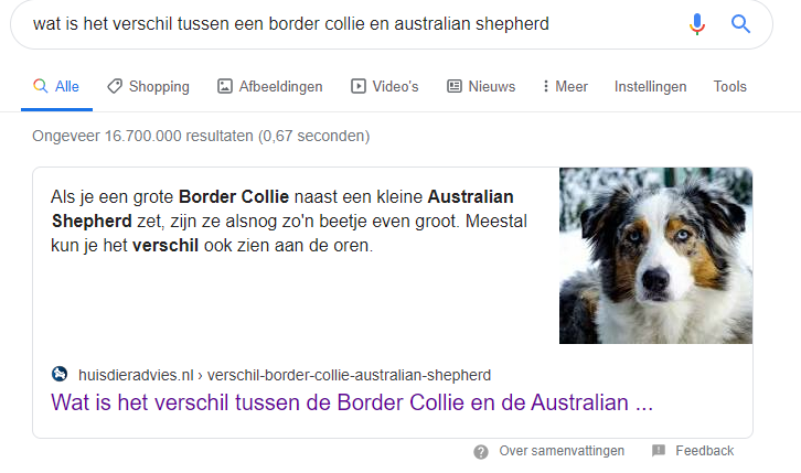 snippet google